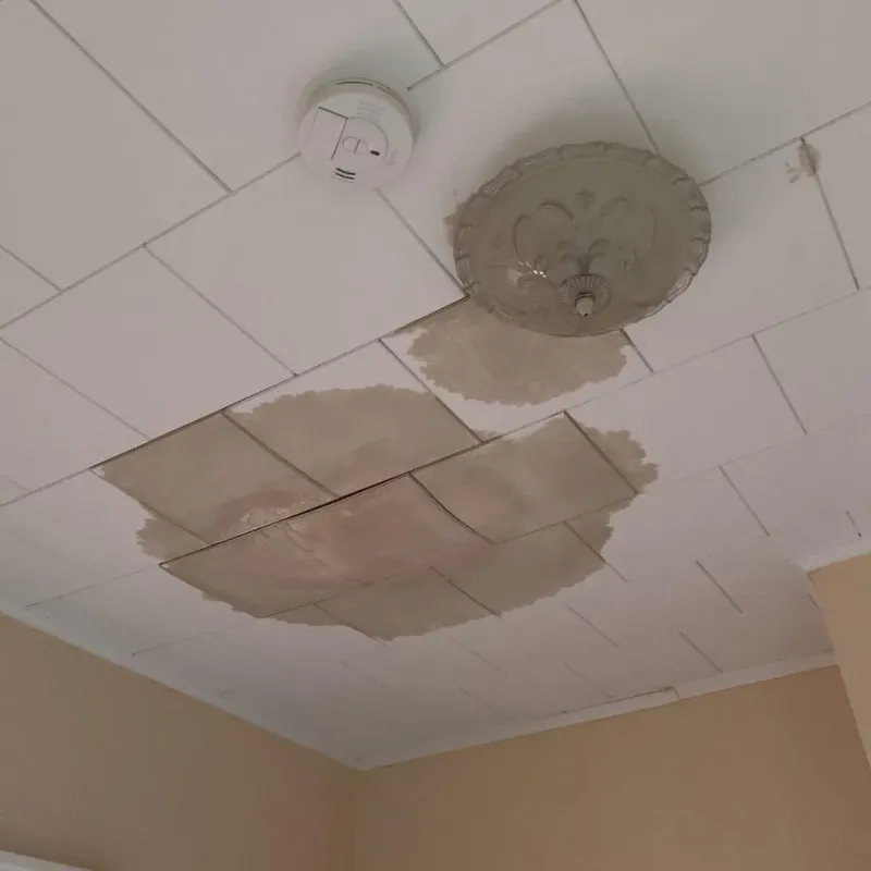 Ceiling Water Damage Repair in Meade County, SD