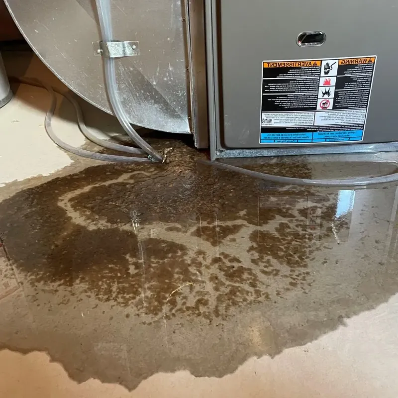 Pipe Burst and Leak Restoration in Meade County, SD