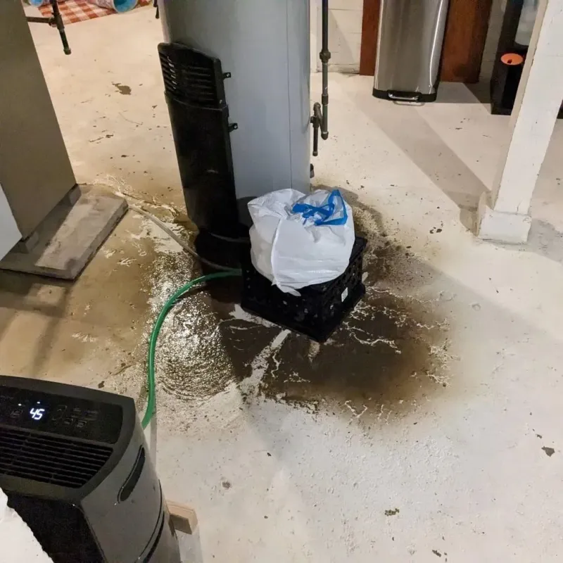 Sewage Backup Cleanup Service in Meade County, SD
